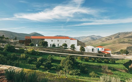 O Douro numa Quinta