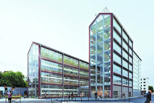França produz fruta na vertical com construção nacional