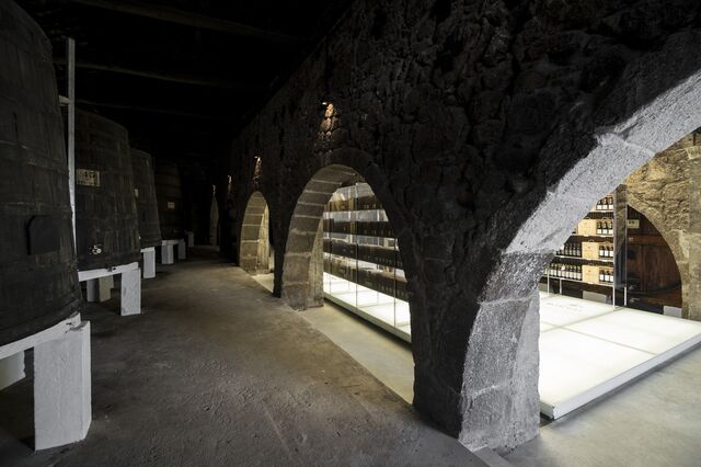 Enoturismo representa 25% da faturação do dono das Caves Cálem