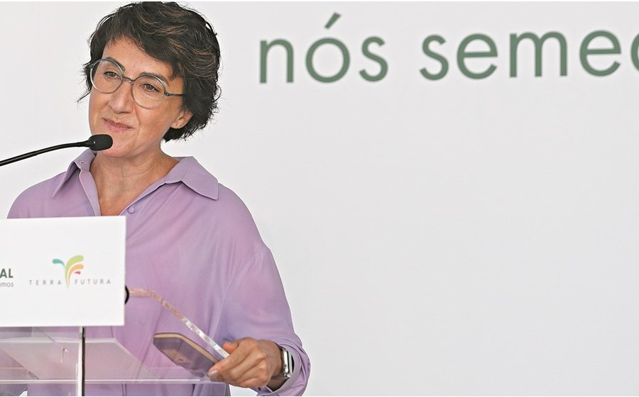 A ministra da Agricultura, Maria do Céu Antunes, diz que metas de redução de pesticidas e aumento do biológico não podem afetar os rendimentos dos agricultores.