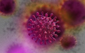 Covid-19: Vírus pode sobreviver 28 dias à temperatura ambiente