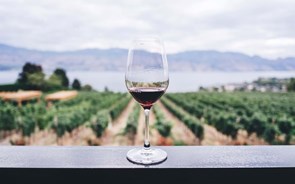 Venda de vinho para a restauração cai para metade até setembro