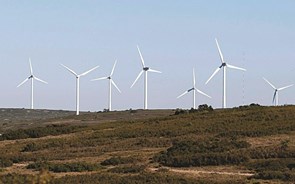 Parques eólicos instalados em baldios obrigados a pagar IMI