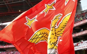 Benfica 'profundamente indignado' com ação judicial para afastar Vieira