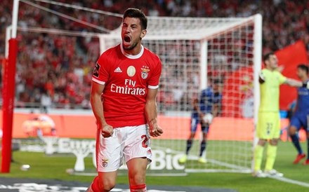 Sondagem: Benfica reforçou-se melhor e é visto como favorito ao título