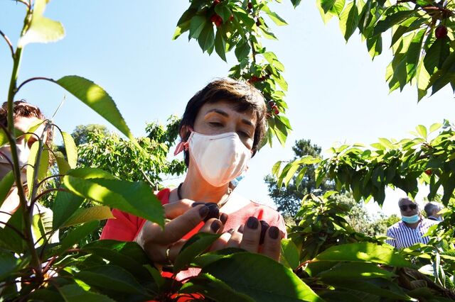 Nova área de regadio vai custar 400 milhões