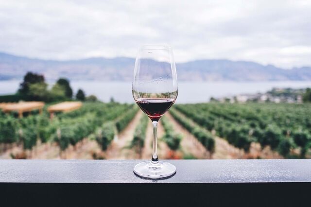 Enoturismo quer responder à crise com moratórias fiscais e IVA reduzido no vinho