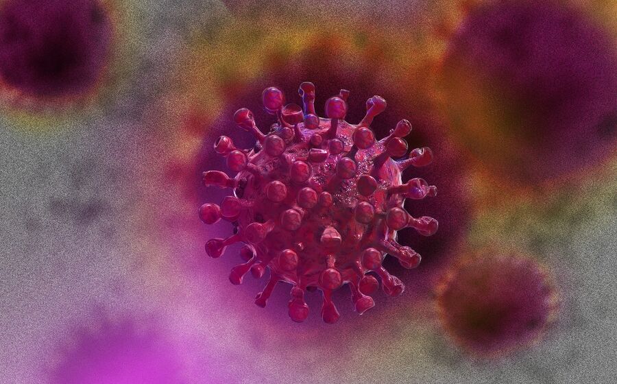 coronavirus virus