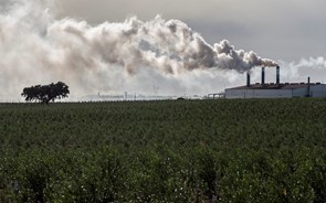 Portugal vive a partir de hoje em 'crédito ambiental' até fim do ano