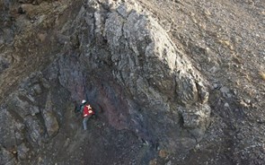 Mineira canadiana quer explorar ‘ouro verde’ na Islândia