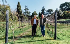 Fernando Soares Franco, um vinho em nome do pai