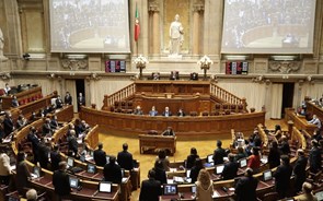 Oposição aprova cinco milhões para o Pinhal de Leiria