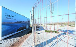 Douro Atlantic Garden