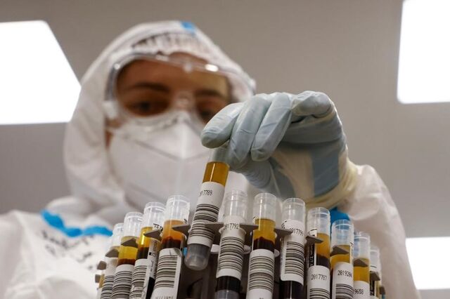 Covid-19: Portugal não identificou ainda a nova estirpe do Reino Unido 