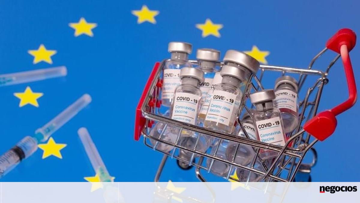 La France teste des vaccins contre la grippe aviaire et demande l’approbation de l’Union européenne