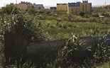 Terrenos rústicos que possam servir para habitação vão pagar mais IMI 