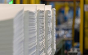 Altri beneficia com subida de 70% da pasta de papel este ano na Europa