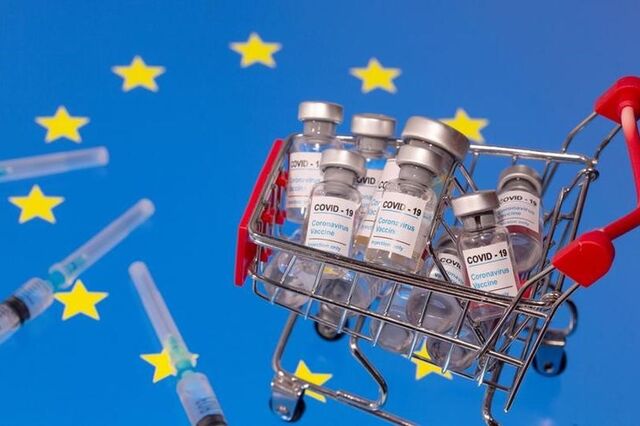 França testa vacinas contra gripe das aves e quer homologação pela União Europeia