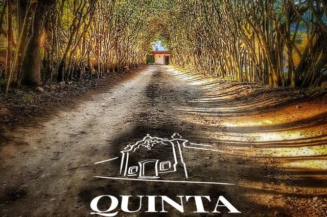 Quinta de Alcube lança vinhos de edição limitada para este Natal