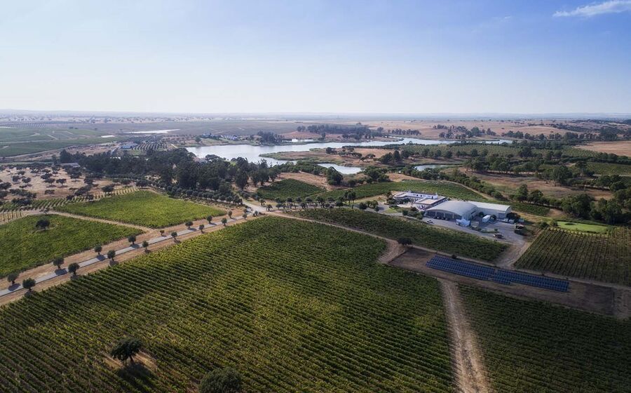 Herdade dos Grous, Alentejo, vinhas
