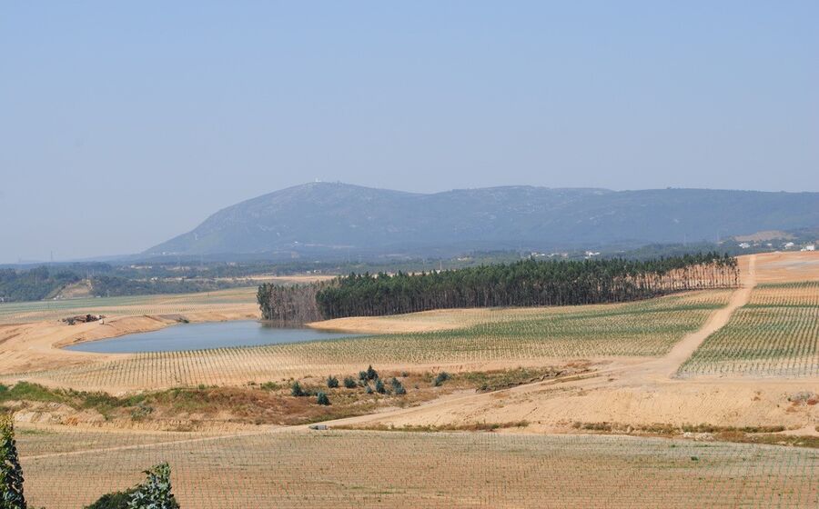 herdade da torre bela