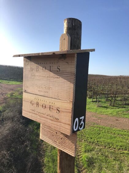 Herdade dos Grous, Alentejo, vinhas