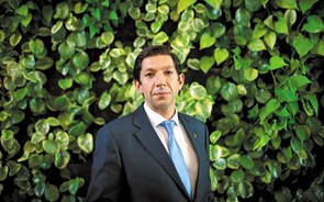 Líder do CDS-PP anuncia Pedro Melo como novo vice-presidente do partido 