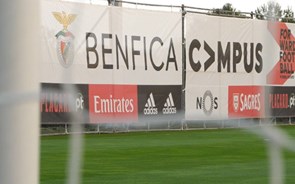 Benfica com 17 novos casos de covid-19. Luís Filipe Vieira e mais cinco jogadores estão infetados 