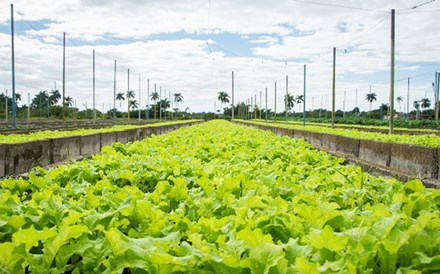 Suportar a economia em contexto de pandemia