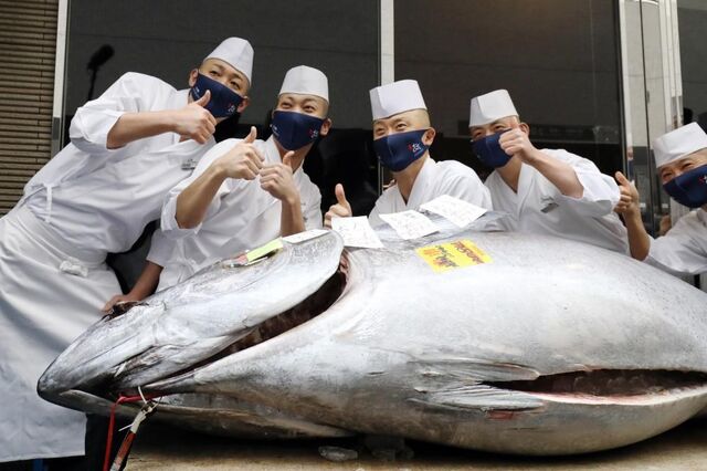 Atum vendido por 165 mil euros no primeiro leilão do ano em Tóquio