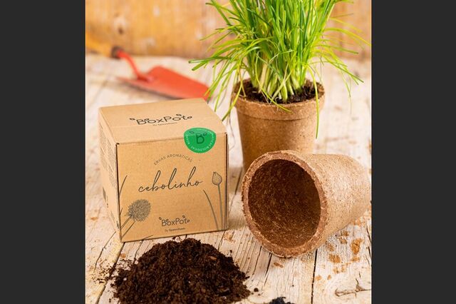 Dar nova vida ao desperdício  