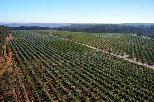 Altri compromete-se com objetivos sustentáveis das Nações Unidas