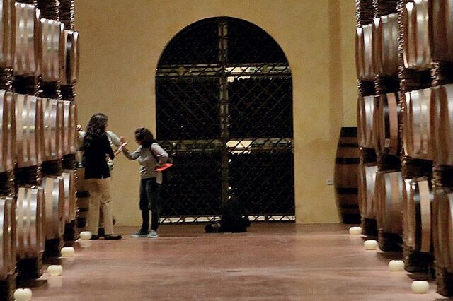 Vinhos do Alentejo na dianteira da sustentabilidade 