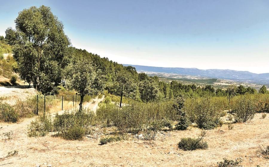 A Herdade do Vale Feitoso, em Idanha-a-Nova, tem 7.300 hectares – é a maior propriedade privada muralhada de Portugal.