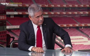 Ações do Benfica afundam 5,5% após detenção de Vieira. É a maior queda em 15 meses