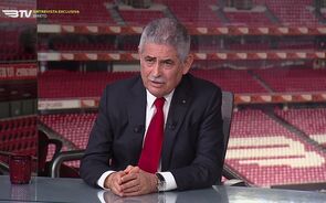 luis filipe vieira benfica btv