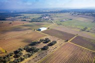 Herdade Monte dos Cardeais