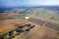 Herdade Monte dos Cardeais, Alentejo, Costa Boal