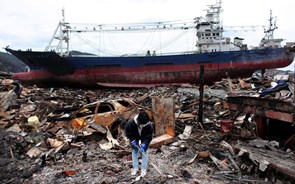 Morango de 10 dólares ajuda cidade japonesa a recuperar do tsunami