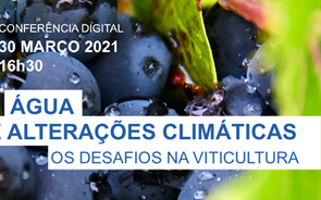 Água e Alterações Climáticas: Os desafios na Viticultura