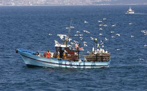 Mútua dos Pescadores: resposta segura à vulnerabilidade