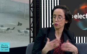 segundo video.mp4