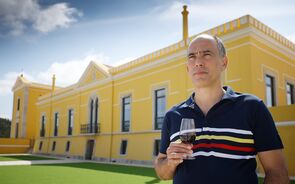 Luís Vieira, proprietário da Parras Wines
