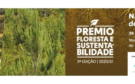Assista em direto ao lançamento da 3ª Edição do Prémio Floresta e Sustentabilidade com o ministro da Economia