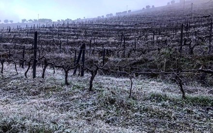 Quinta da Vacaria investe 10 milhões em adega e hotel e cria 100 empregos no Douro