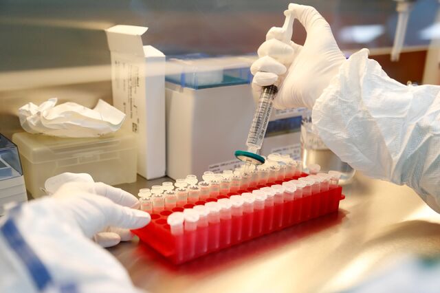 França descobre variante de covid-19 que não é detetada nos testes