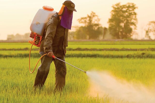 Portugal tem menos produção biológica mas utiliza menos fertilizantes