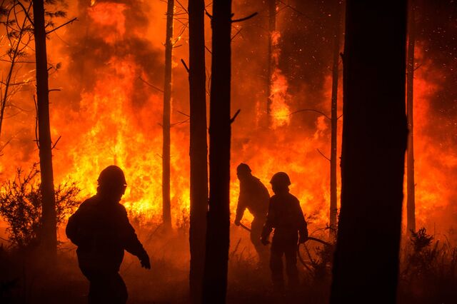 Cientistas avisam que este será um ano de risco extremo de incêndios