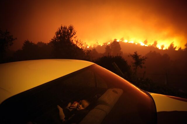 Vem aí vaga de calor em Portugal. Especialistas alertam para incêndios
