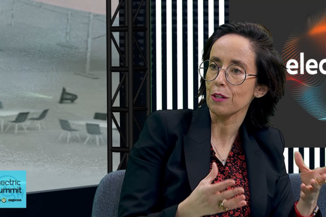 'Transição energética não significa apenas eletrificação', diz Sofia Tenreiro 